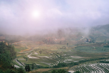 Rice terraces and hills in Sapa, Vietnam.