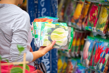 AMSTERDAM, NETHERLANDS - AUG 14 2016: Tulips for sale in Amsterd