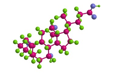 Molecular structure of cholic acid