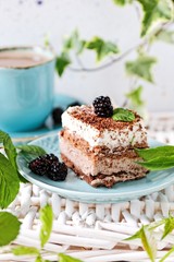 Chocolate and cream cake
