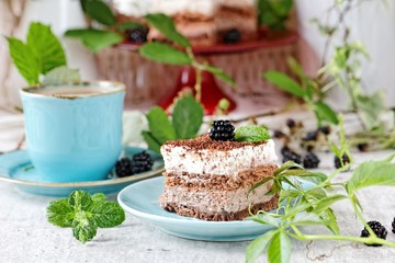 Chocolate and cream cake