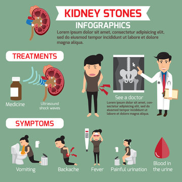 Treatment and symptoms of kidney infographics. vector illustrati