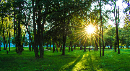 В городском парке. © vitek_k