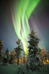 Northern Lights in Lapland, Finland.