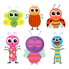 insect, beetle , butterfly, vector graphics