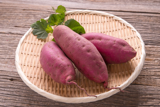 掘りたてのサツマイモ