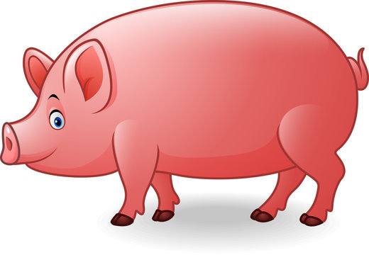 Cartoon adult pig
