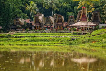 Fototapeta premium Tana Toraja