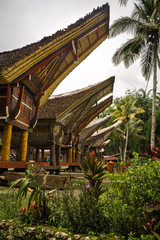 Tana Toraja