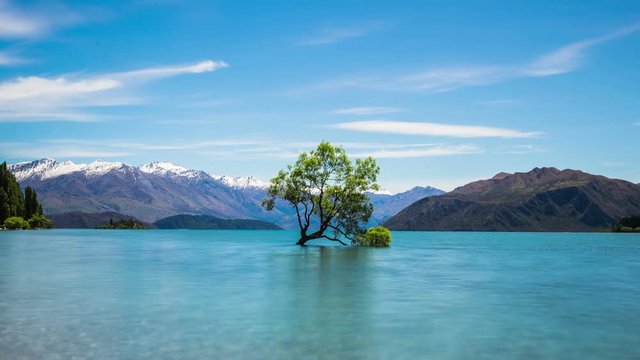 Time Lapse - Cloudscape Moving Over with Lake Wanaka Willow Tree in New Zealand