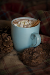 Hot Chocolate and Marshmallows