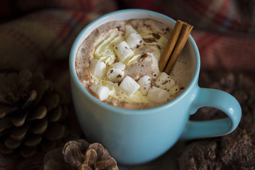 Hot Chocolate and Marshmallows