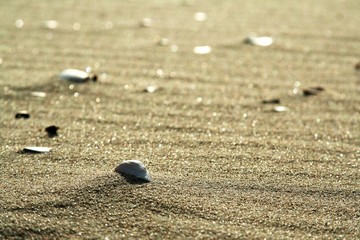 golden sand on the beach 1