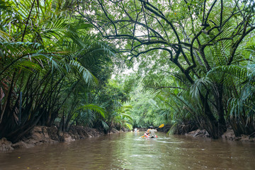 Obraz premium Kayaking at Klong Sung Nae, Thailand's Little Amazon.