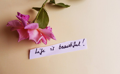 Life is beautiful rose background