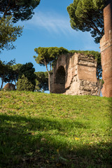 Ruins of Rome, Italy