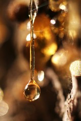 drop falling resin