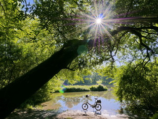 Fahrrad am Mainufer