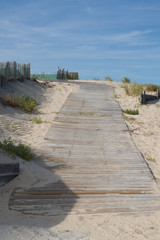 Wooden walkway on sandy beach going between sand dunes