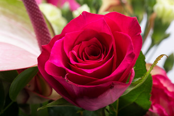 beautiful bouquet from fresh red roses and  anthurium
