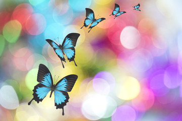 Beautiful butterfly on Christmas background