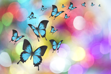 Fototapeta na wymiar Beautiful butterfly on Christmas background