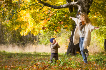 Fototapeta premium Happy young woman with cute little toddler boy throwing maple leaves and having fun. Mother with child walking in the park and enjoying sunny weather. Lifestyle, family and autumn concept
