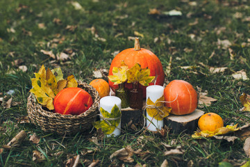 Autumn pumpkins on the Helloween