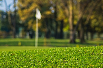 Detail from a golf course at autumn sunny day in Belgrade, Serbia