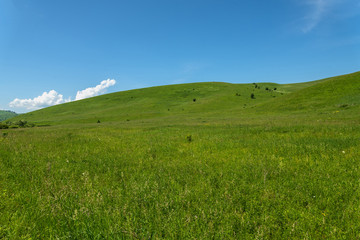 Fototapeta premium mountains hills sky meadow