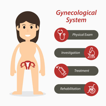 Gynecological system and medical line icon ( flat design )