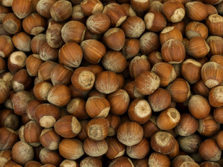 hazelnuts