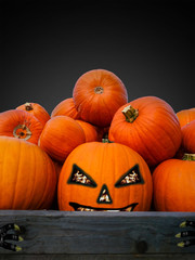 Halloween pumpkins with creepy claws