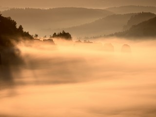 Misty awaking of  beautiful fairy valley. Peaks of rocks trim creamy fog