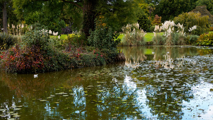 View of the Lake at Wakehurst Place in Sussex