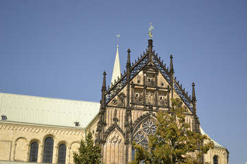 Fototapeta na wymiar Dom Münster