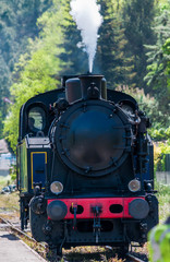 Naklejka premium Train à vapeur à Anduze.