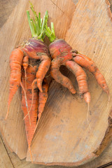Carrots with octopus like tentacles