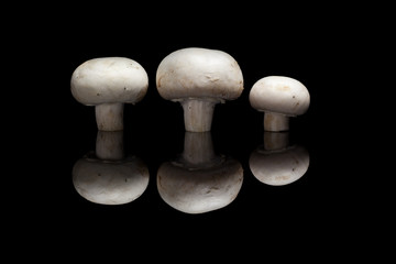 Three champignons on black background
