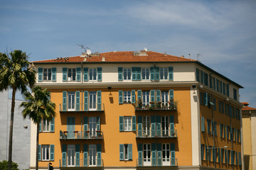 Fototapeta na wymiar Green palms stand around orange building