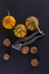 walnuts and pumpkin on rustic background