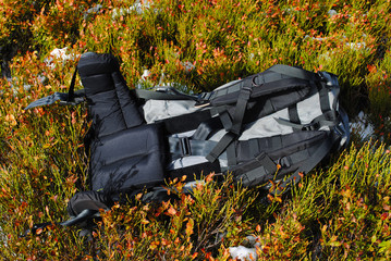 Backpack lies on the beautiful colored wild vegetation