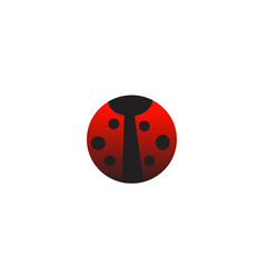 Ladybug Vector