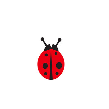 Ladybug Vector