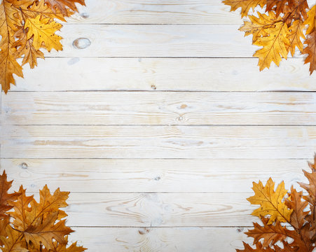 .Autumn oak leaves on a light wooden background