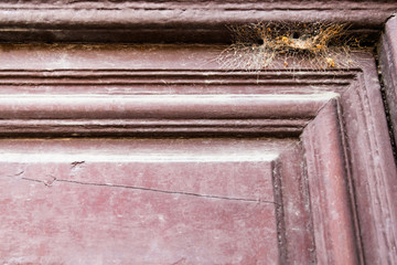 Old wooden door with spiderweb.