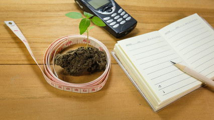 Seedlings notebook and pencil on wood floors.