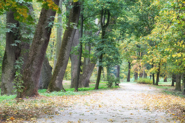 Autumn park with benches and footpath
