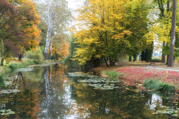 autumn park near the lake