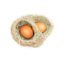 Skylark Nests and egg, Close up  weaver bird nest